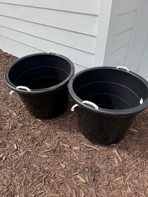 17 gallon storage tubs for growing citrus trees at low cost